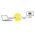 Roline VALUE adapter/kabel 4K DP - HDMI, M/F