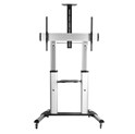 Roline mobilni stalak za TV/LCD, do 100kg, srebrni