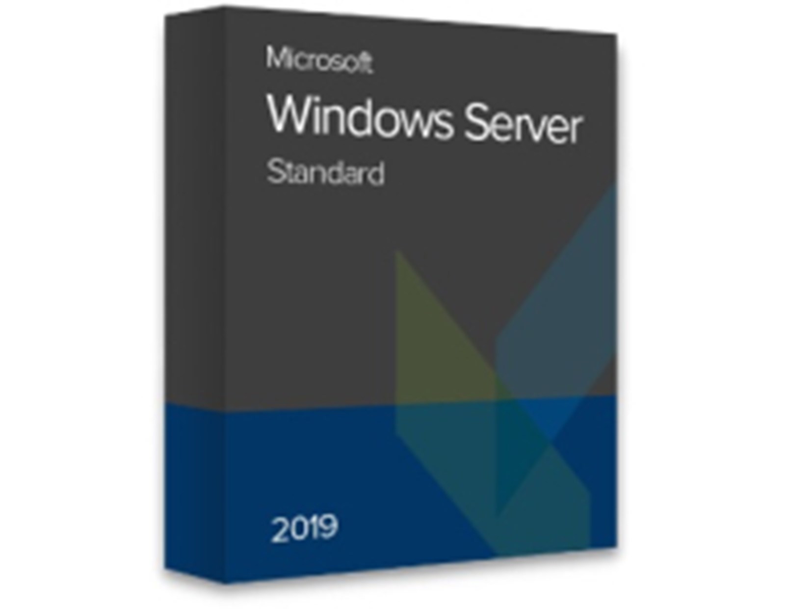 Microsoft Windows Server 2019 Standard (2 cores) ESD elektronička licenca