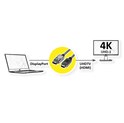 Roline DisplayPort kabel, DP - UHDTV, M/M, 3.0m, crni