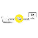 Roline adapter Mini DisplayPort - DisplayPort, M/F