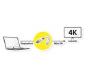 Roline adapter/kabel DisplayPort - Mini DisplayPort, M/F, 0.15m