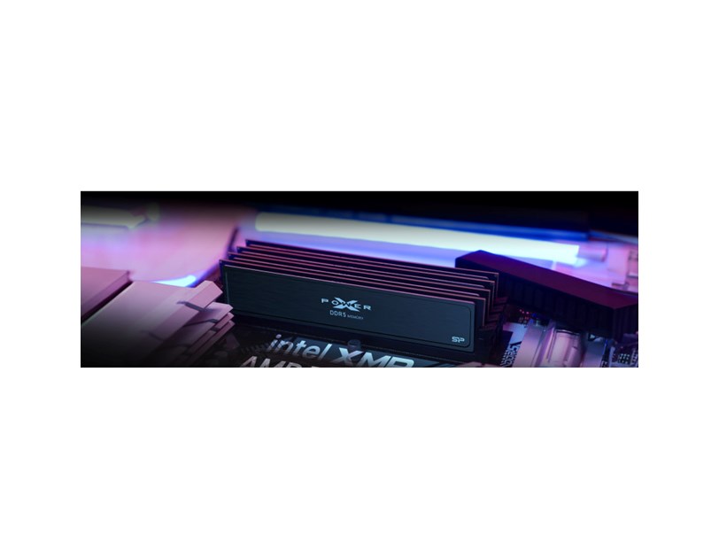 Silicon Power Pulse gaming DIMM 16GB DDR5 6000MHz 1.35V CL30