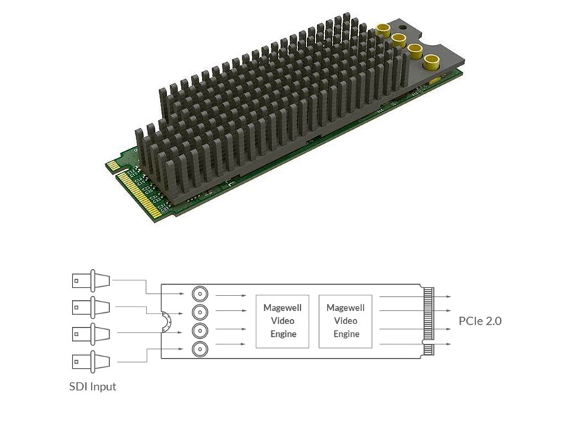 Magewell Eco Capture quad SDI M.2, M.2 form factor 4-channel 3G SDI, Windows/Linux (11540)