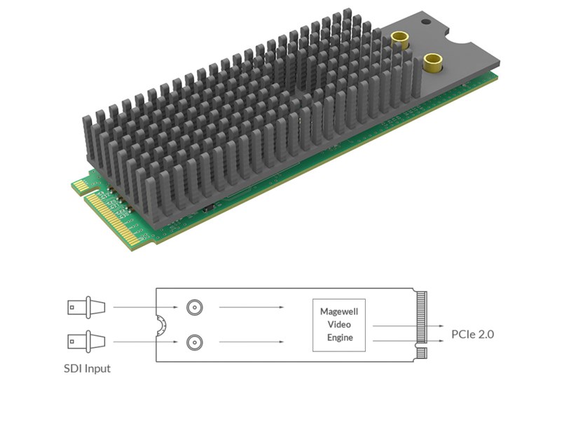 Magewell Eco Capture dual SDI M.2, M.2 form factor 2-channel 3G SDI, Windows/Linux (11530)