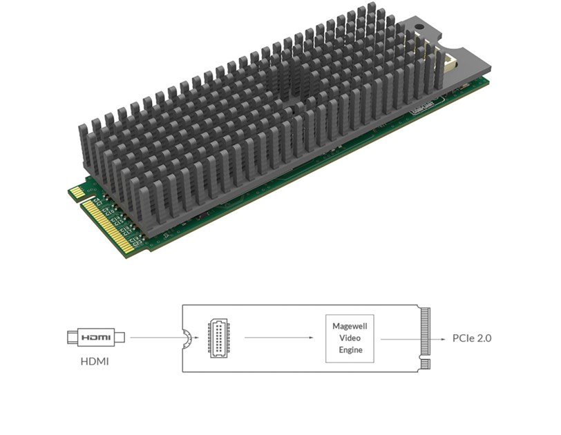 Magewell Eco Capture HDMI 4K M.2, M.2 form factor 1-channel HDMI 4Kp30, Windows/Linux (11520)