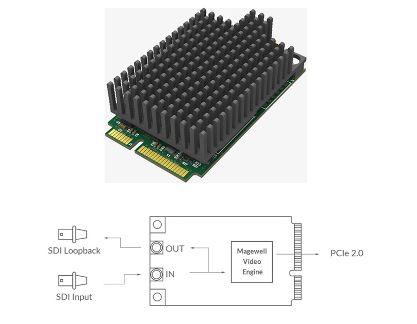 Magewell Pro capture mini SDI LH, mini PCIe, 1-channel SDI with loop through, 11mm heatsink, Windows/Linux/Mac (11131)