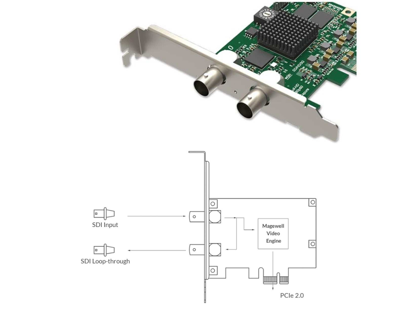 Magewell Pro capture SDI, LP PCIe x1, 1-channel SD/HD/3G/2K SDI, Single channel bypass loop, Windows/Linux/Mac (11050)