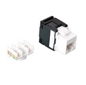 Roline VALUE RJ45 Keystone konektor Cat.6/Class E, UTP (tool-free), bijeli