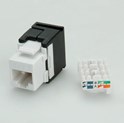 Roline VALUE RJ45 Keystone konektor Cat.6/Class E, UTP (tool-free), bijeli