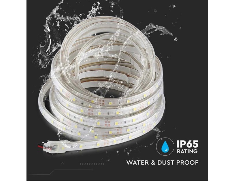 LED traka 5m, SMD 5050, 60LED/m, 11W, 12V, 6400K, IP65