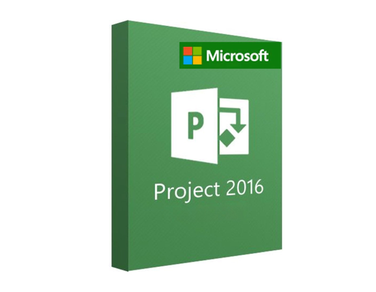 Microsoft Project Server 2016 ESD elektronička licenca