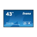 IIYAMA 43" LH4375UHS-B1AG 4K UHD (3840x2160) IPS Signage, 60Hz, 16:9, 8ms, 500 cd/m2, 1200:1, HDMI/DP, 2xUSB-A, zvučnici, crni 
