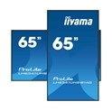 IIYAMA 65" LH6541UHS-B1AG 4K UHD (3840x2160) VA Signage, 16:9, 6.5ms, 500 cd/m2, 5000:1, HDMI, USB-A, zvučnici, crni 