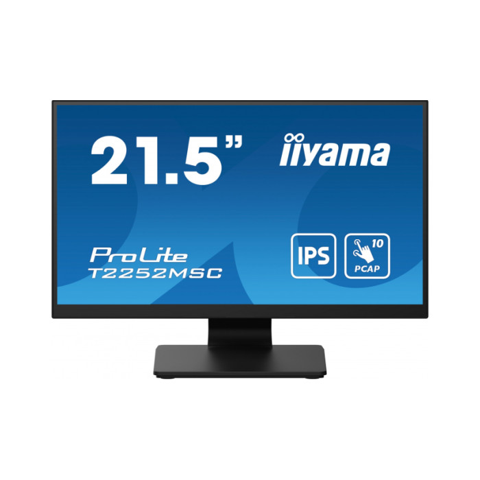 IIYAMA 22