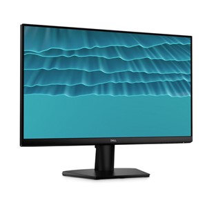 Dell Flat panel 24