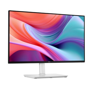 Dell Flat Panel 24