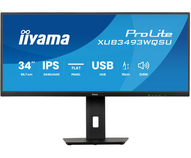 IIYAMA 34