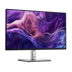 DELL 24