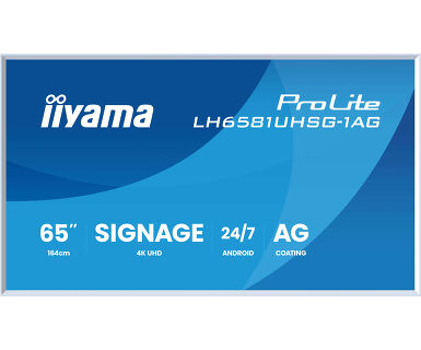 IIYAMA 65
