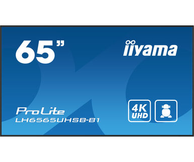 IIYAMA 65