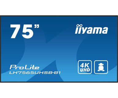 IIYAMA 75